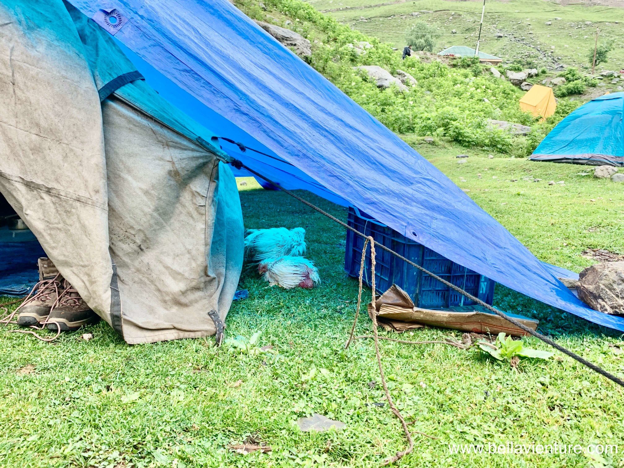 印度 India 北北印 North India 喀什米爾 Kashmir 七大湖健行 Kashmir Great Lakes Trek/ Budget trek Sonamarg 雞 印度 India 北北印 North India 喀什米爾 Kashmir 七大湖健行 Kashmir Great Lakes Trek/ Budget trek Sonamarg 雞