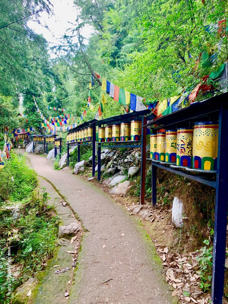 印度india 達蘭薩拉 dharamshala exploing探險 印度india 達蘭薩拉 dharamshala exploing探險