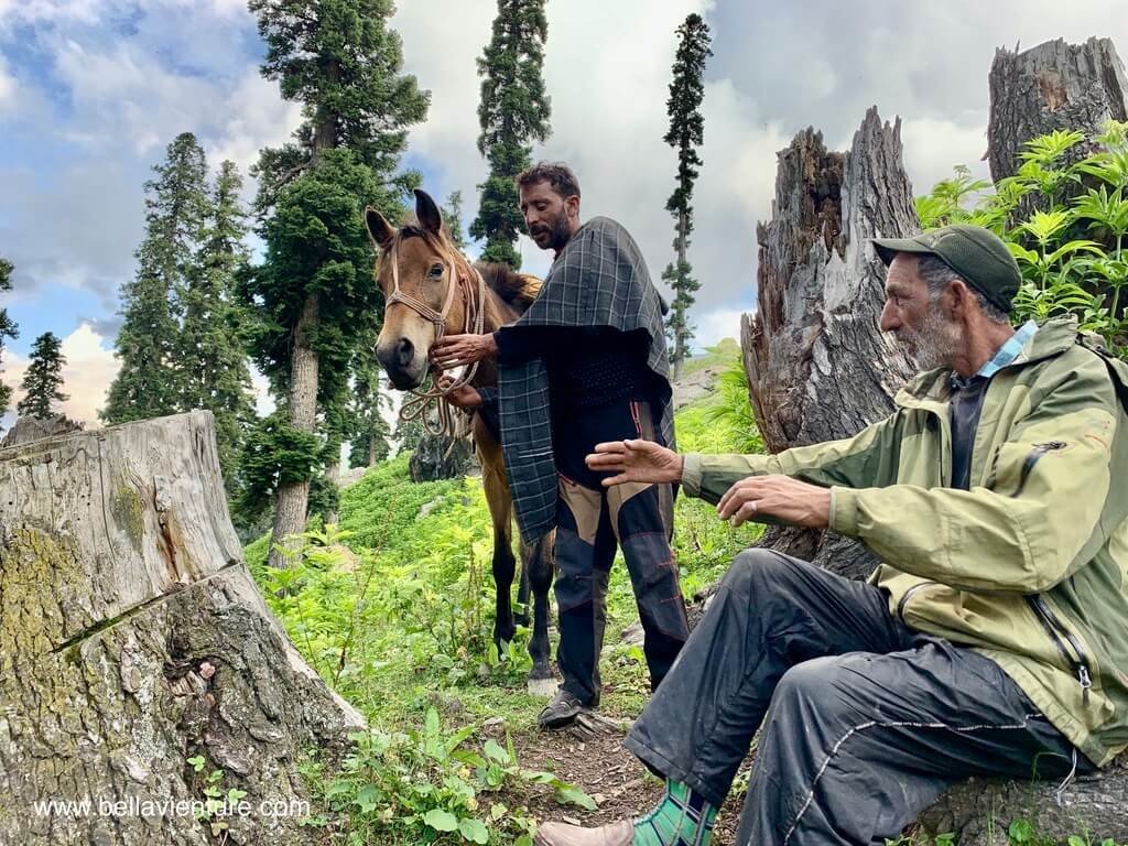 印度 india 喀什米爾 kashmir 大湖健行big lake treakking 林區稍作休息 印度 india 喀什米爾 kashmir 大湖健行big lake treakking 林區稍作休息