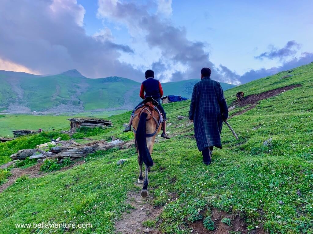 印度 india 喀什米爾 kashmir 大湖健行big lake trekking 想要騎馬的小孩 印度 india 喀什米爾 kashmir 大湖健行big lake trekking 想要騎馬的小孩