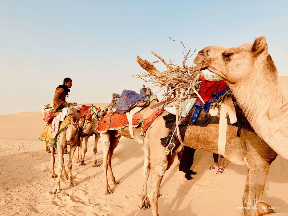 印度 india 賈莎梅爾 jaisalmer 東京宮殿 tokyo palace 沙漠駱駝行 camel safari 印度 india 賈莎梅爾 jaisalmer 東京宮殿 tokyo palace 沙漠駱駝行 camel safari