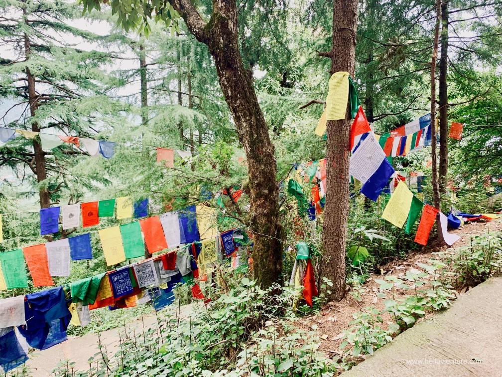 印度india 達蘭薩拉 dharamshala exploing探險 印度india 達蘭薩拉 dharamshala exploing探險