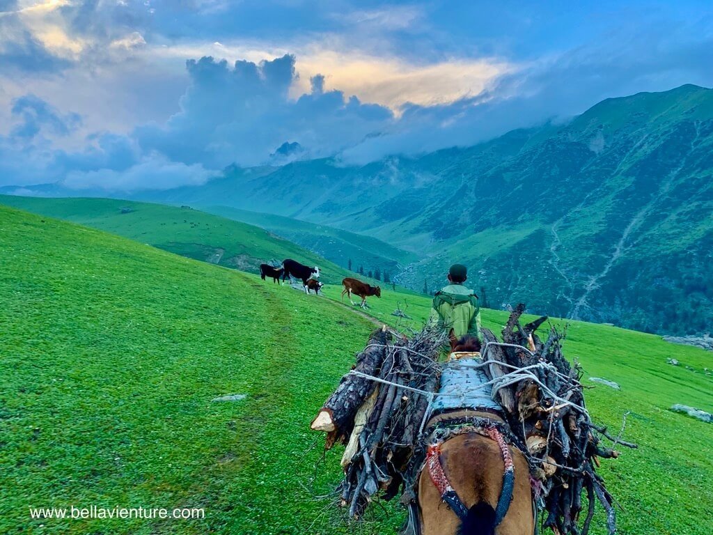印度 india 喀什米爾 kashmir 大湖健行big lake trekking 傍晚天空與搬柴之馬兒 印度 india 喀什米爾 kashmir 大湖健行big lake trekking 傍晚天空與搬柴之馬兒