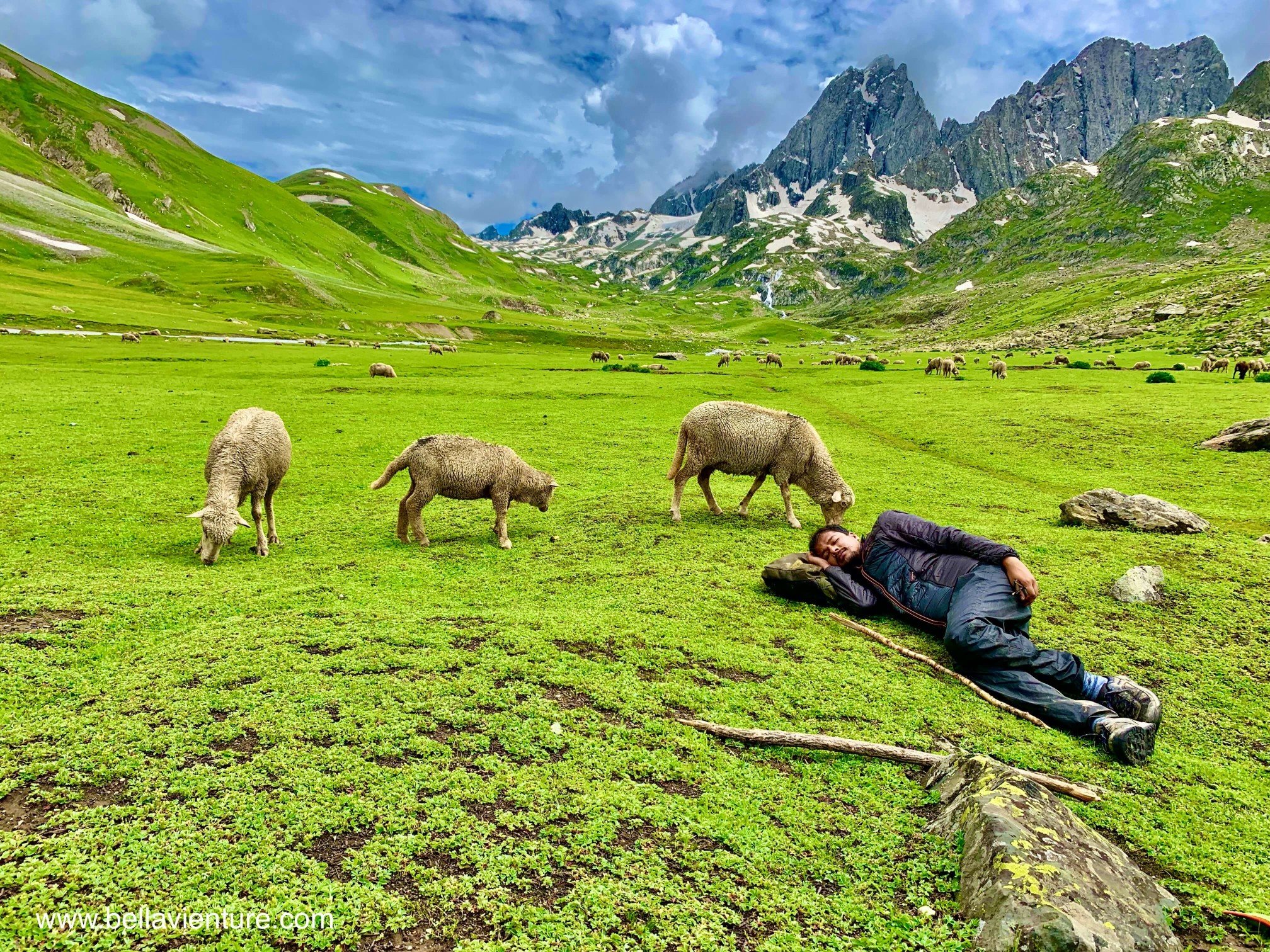 印度 India 北北印 North India 喀什米爾 Kashmir 八天七夜 健行 綿羊與午睡的印度團員 印度 India 北北印 North India 喀什米爾 Kashmir 八天七夜 健行 綿羊與午睡的印度團員
