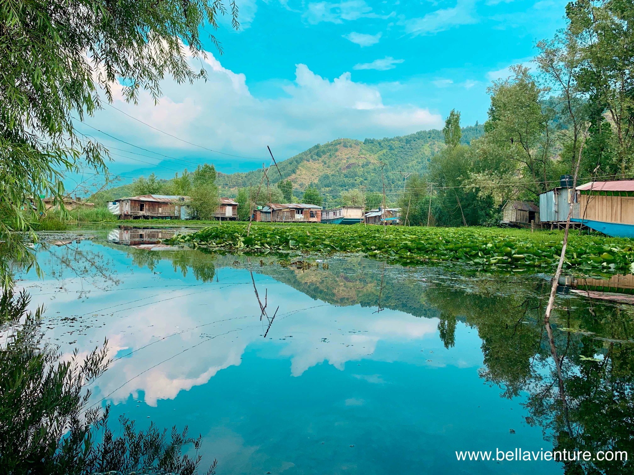 印度 India 北北印 north India 喀什米爾 Kashmir 斯里納加 Srinagar Dal lake 湖景 lakeside 印度 India 北北印 north India 喀什米爾 Kashmir 斯里納加 Srinagar Dal lake 湖景 lakeside