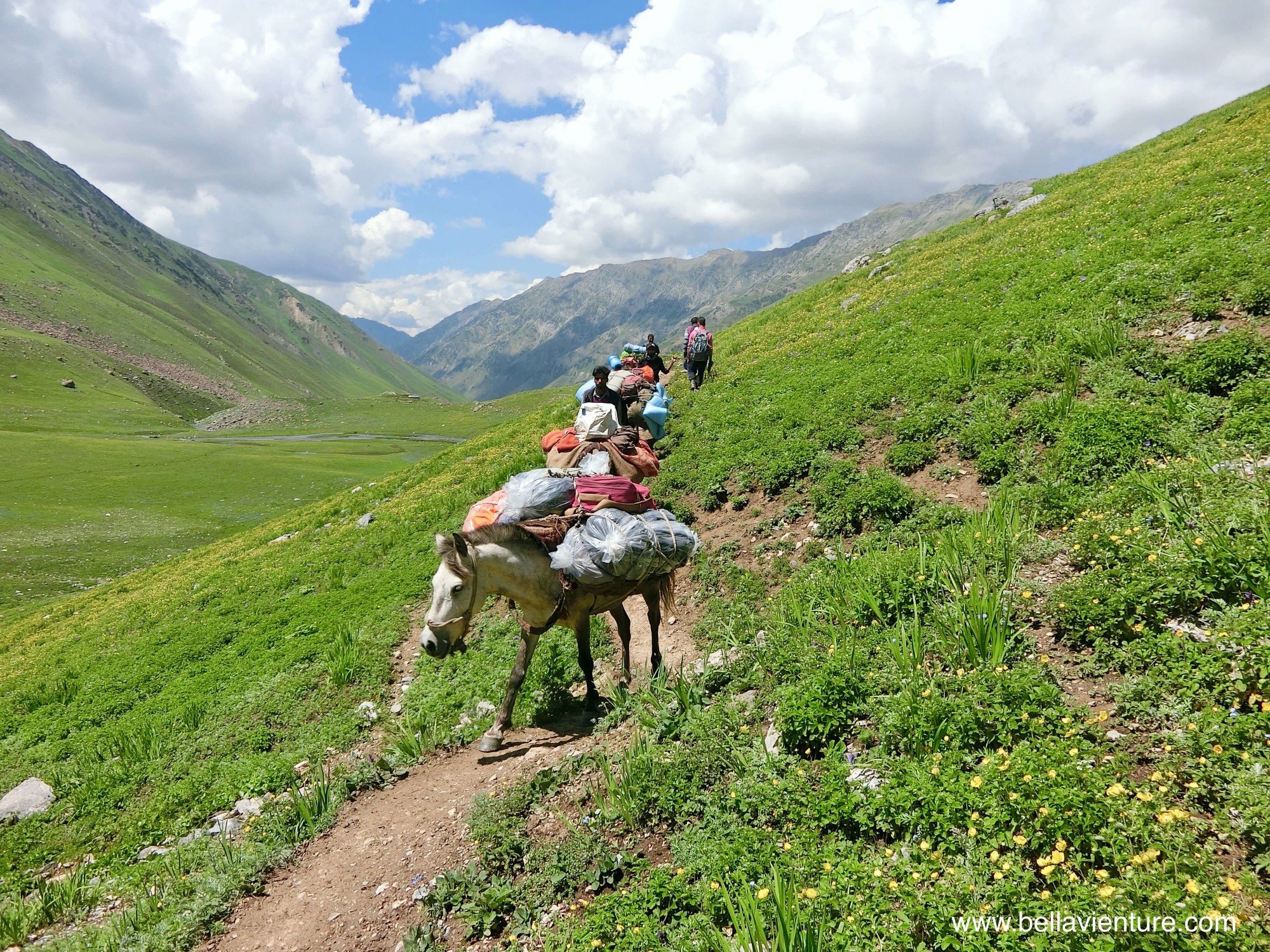 印度India 北北印 North India 喀什米爾 Kashmir 大湖健行 trekking 馬匹 印度India 北北印 North India 喀什米爾 Kashmir 大湖健行 trekking 馬匹
