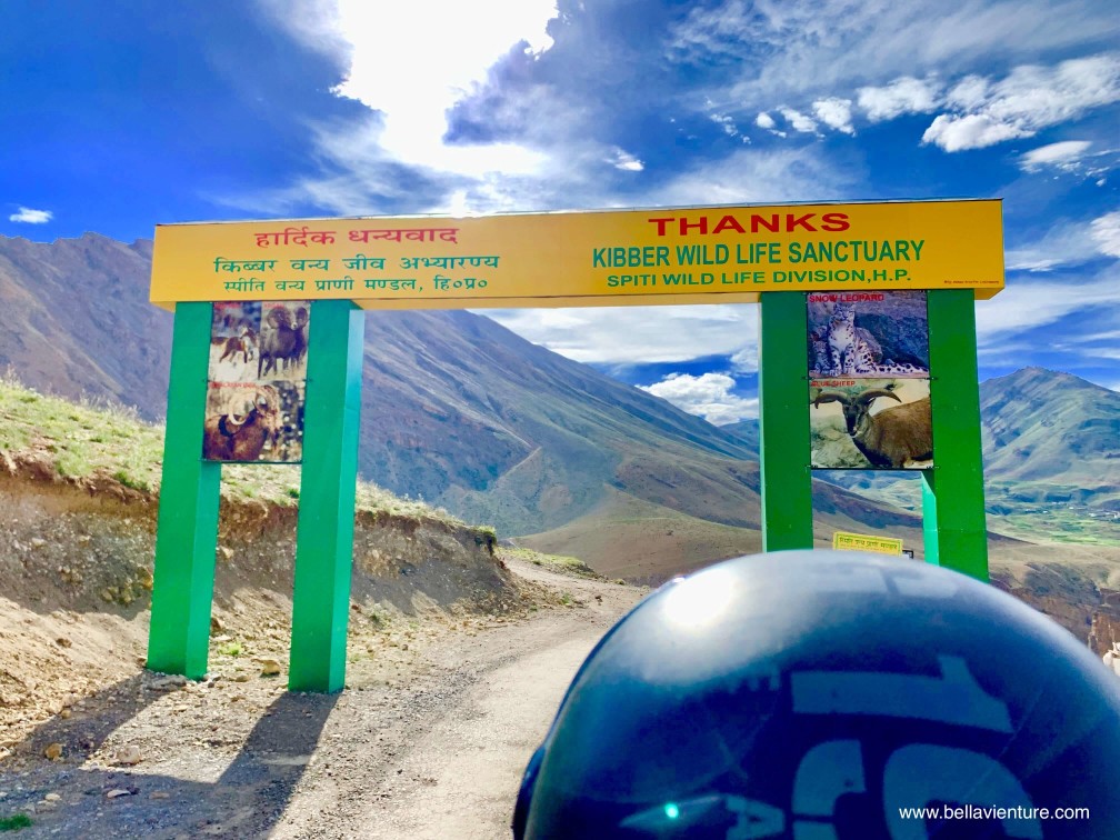 斯碧提山谷 Spiti valley Kibber wild life sanctuary 斯碧提山谷 Spiti valley Kibber wild life sanctuary