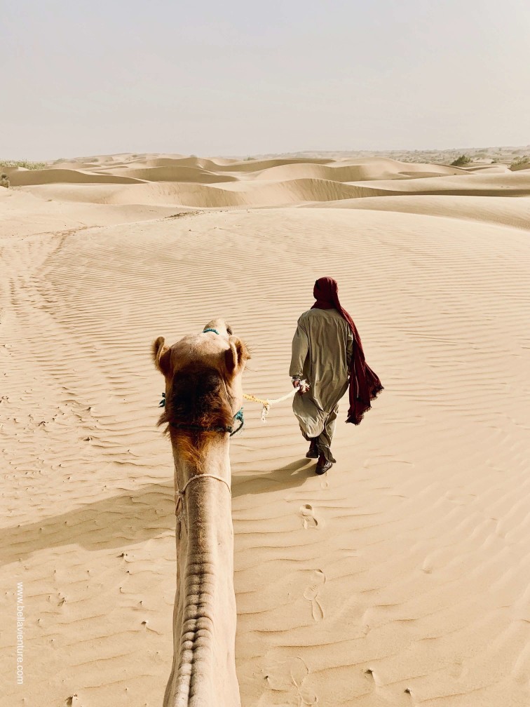 印度 india 賈莎梅爾 jaisalmer 東京宮殿 tokyo palace 沙漠駱駝行 camel safari 印度 india 賈莎梅爾 jaisalmer 東京宮殿 tokyo palace 沙漠駱駝行 camel safari