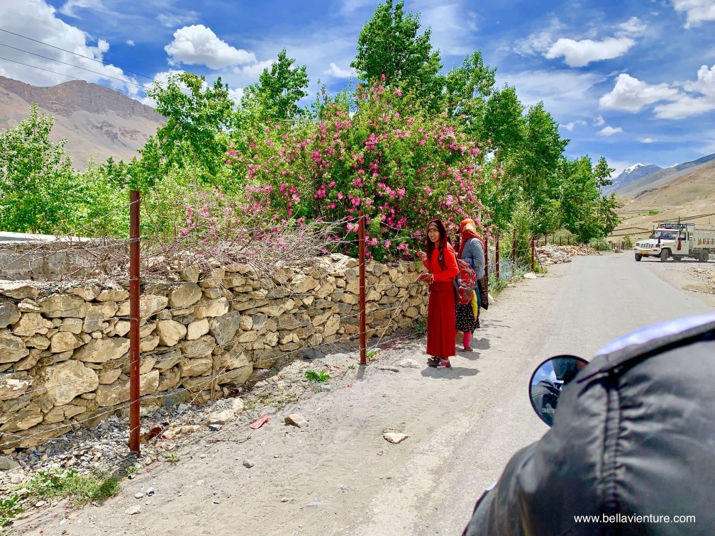 印度 India 北印度North india 喜馬拉雅 Himalayas 斯碧提山谷 Spiti valley 卡薩 Kaza 公路旅行 road trip 印度 India 北印度North india 喜馬拉雅 Himalayas 斯碧提山谷 Spiti valley 卡薩 Kaza 公路旅行 road trip
