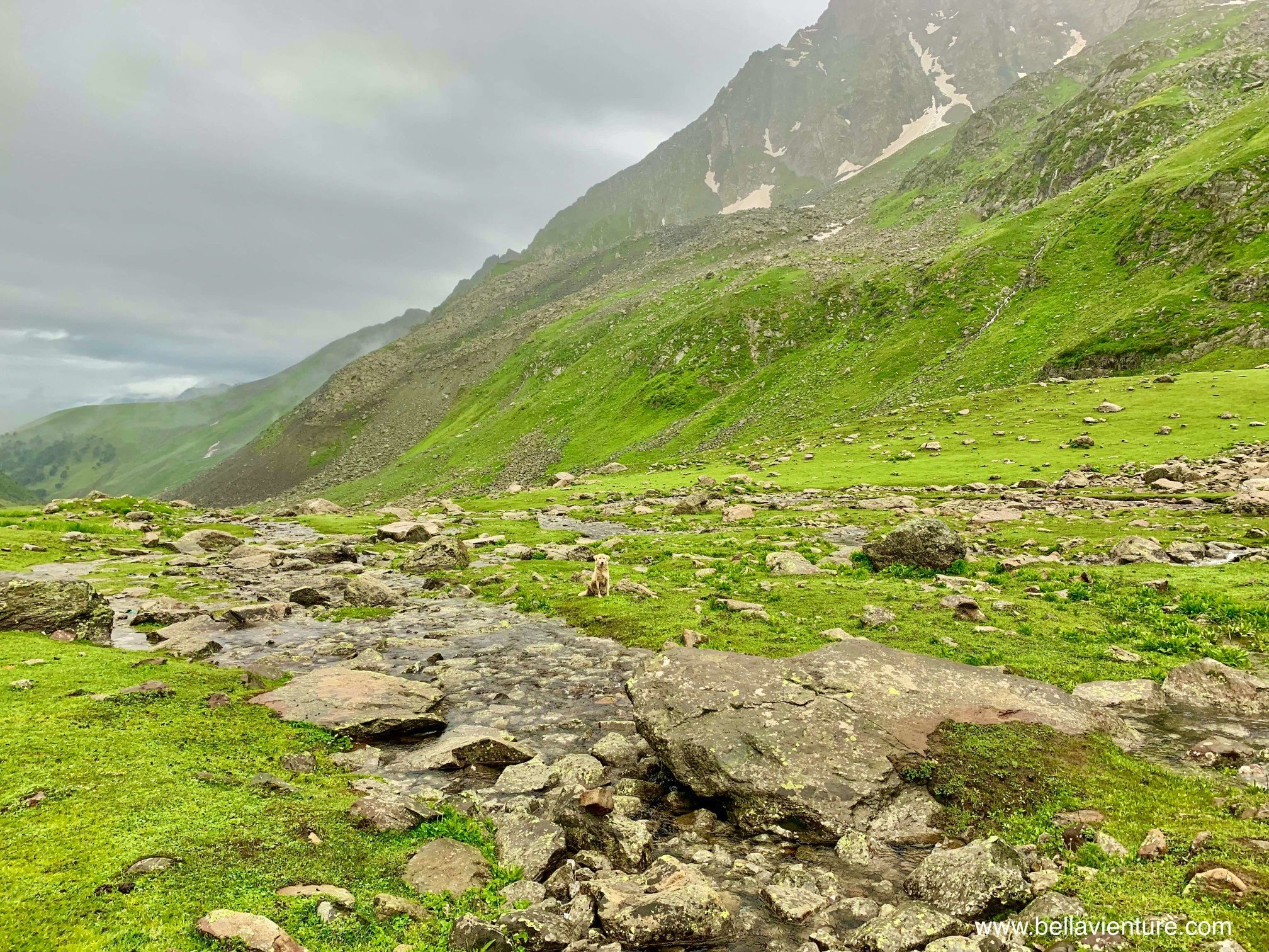 印度 India 喀什米爾 Kashmir 北北印 North India 八天七夜健行 大自然 美景 狗 印度 India 喀什米爾 Kashmir 北北印 North India 八天七夜健行 大自然 美景 狗