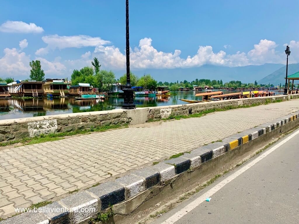 印度 india 喀什米爾 kashmir 斯里納加 srinagar 達爾湖 dal lake 印度 india 喀什米爾 kashmir 斯里納加 srinagar 達爾湖 dal lake