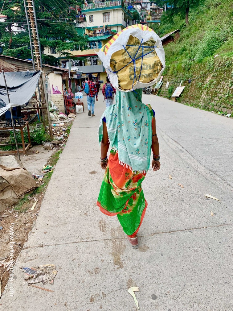 印度India 達蘭薩拉 Dharamshala 北印度 North India country side 印度India 達蘭薩拉 Dharamshala 北印度 North India country side