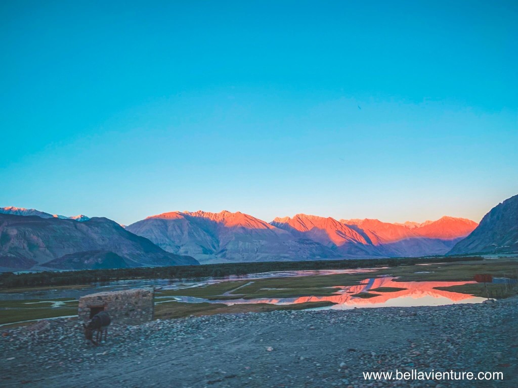 印度 India 北印度North india 喜馬拉雅 Himalayas 拉達克 Ladakh 列城 Leh 努布拉山谷 Nubra Valley 印度 India 北印度North india 喜馬拉雅 Himalayas 拉達克 Ladakh 列城 Leh 努布拉山谷 Nubra Valley