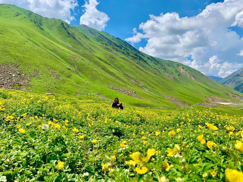 印度India 北北印 North India 喀什米爾 Kashmir 大湖健行 trekking 滿山黃花 印度India 北北印 North India 喀什米爾 Kashmir 大湖健行 trekking 滿山黃花
