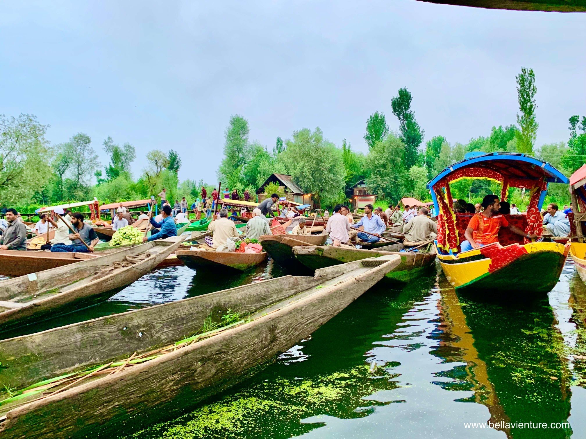 北北印 印度 India 喀什米爾 Kashmir 水上市集 Floating market 早晨 北北印 印度 India 喀什米爾 Kashmir 水上市集 Floating market 早晨