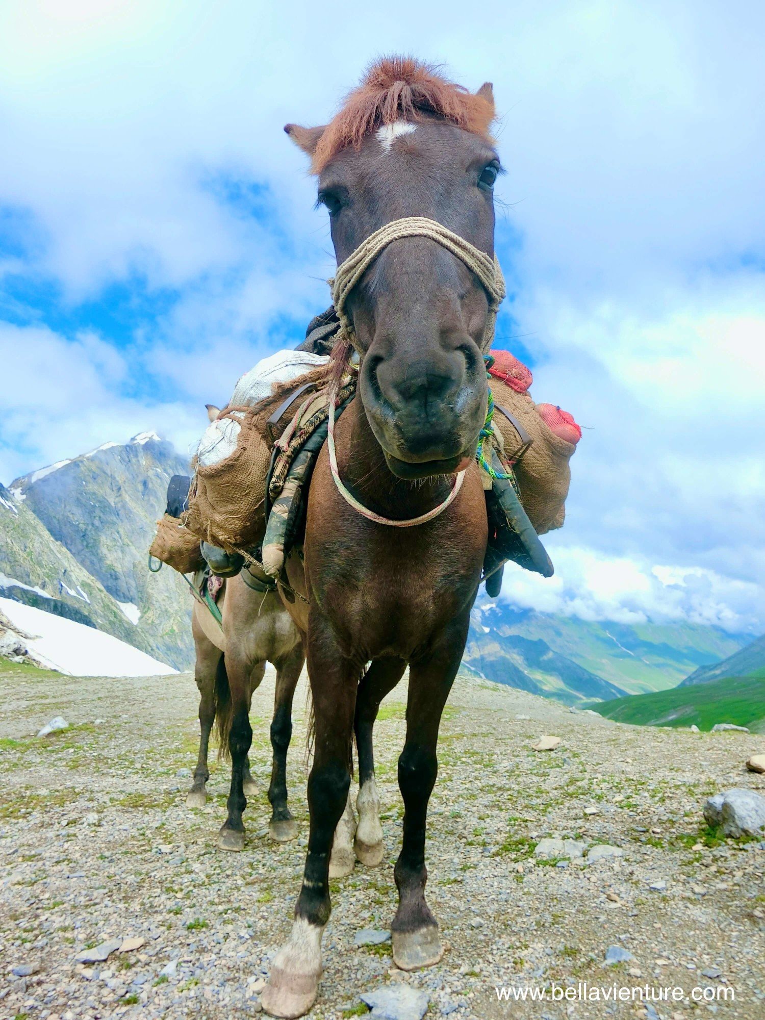 印度India 北北印 North India 喀什米爾 Kashmir 大湖健行 trekking 馬匹 印度India 北北印 North India 喀什米爾 Kashmir 大湖健行 trekking 馬匹