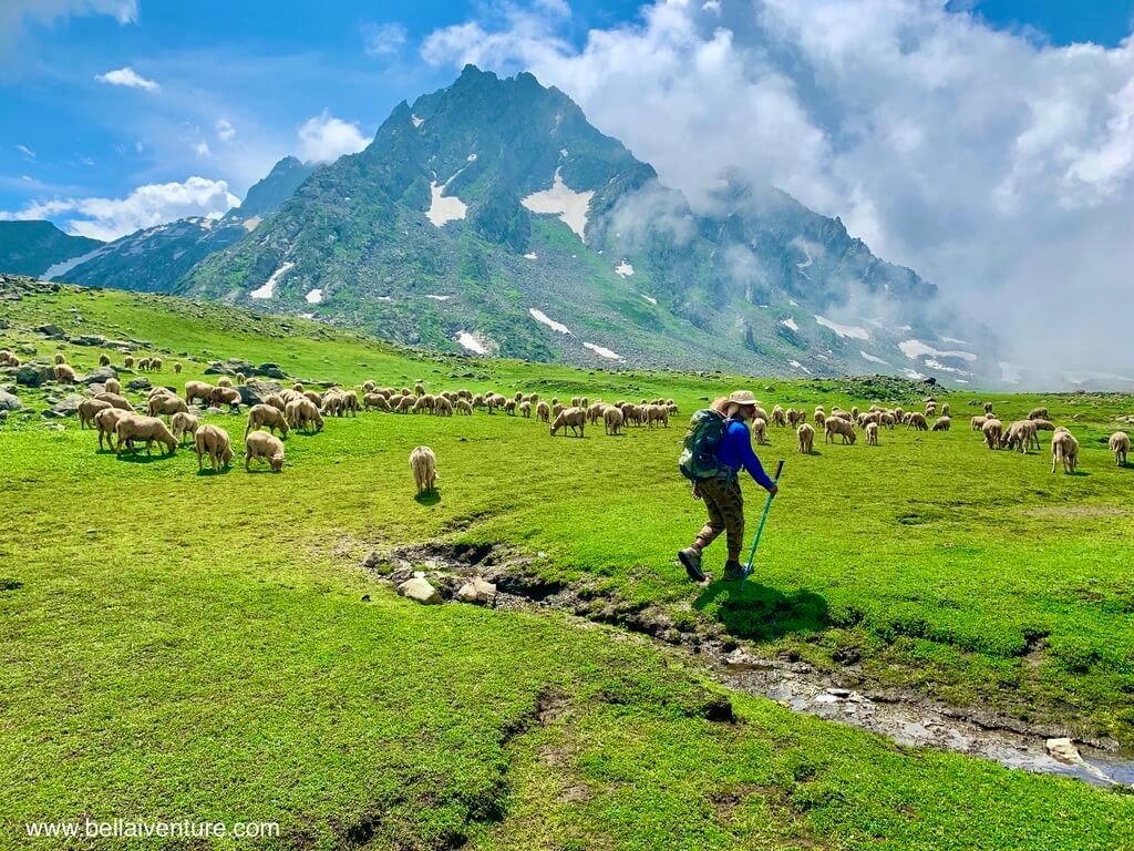 印度 India 北北印 North India 喀什米爾 Kashmir 大湖健行 trekking Kashmir Great Lakes Trek 牧羊與健行客