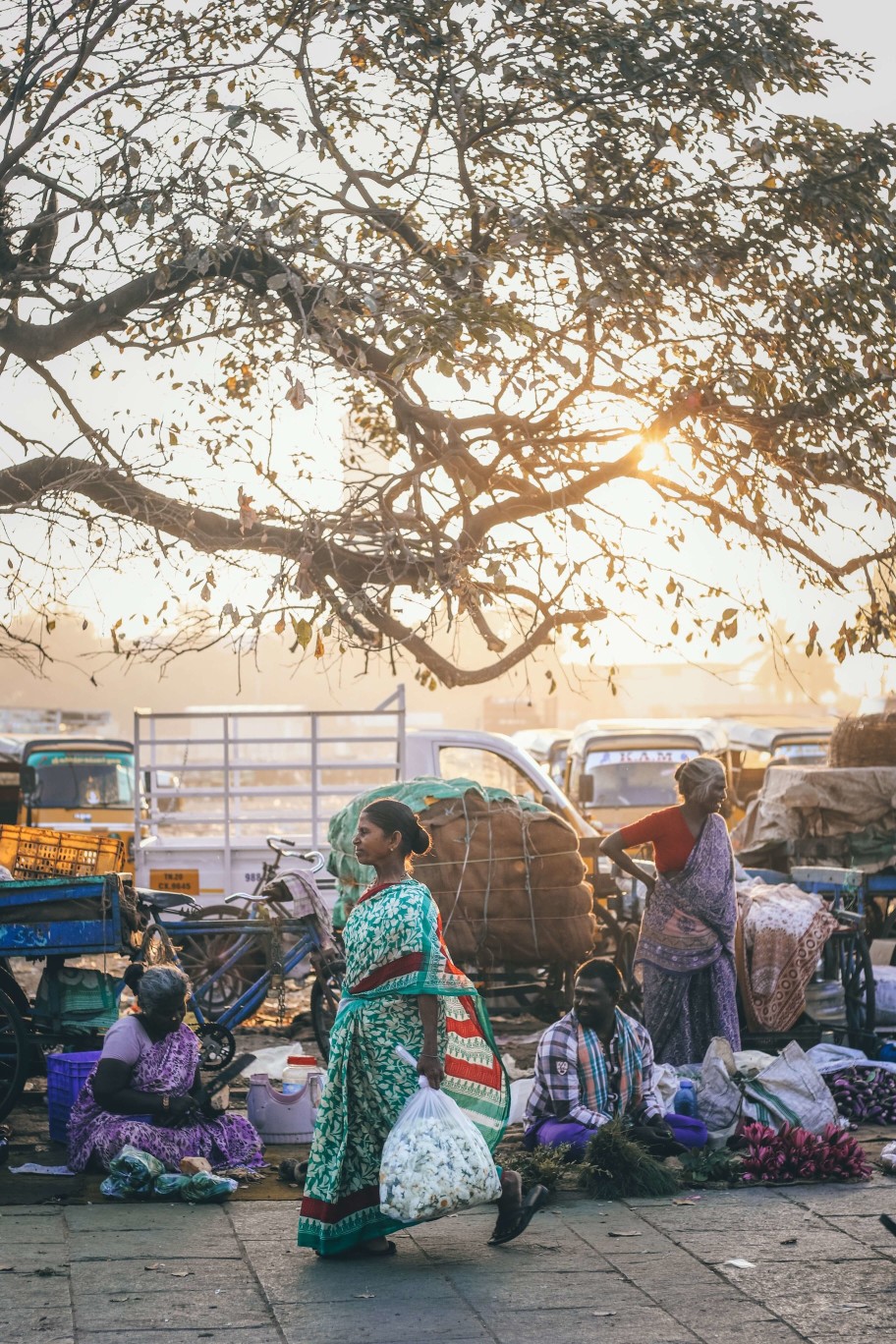 印度India 德里Delhi 新德里New Delhi 街景 street view