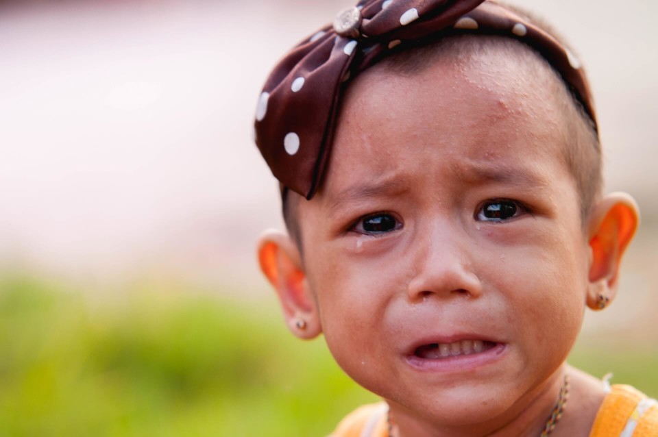 Baby apologizing 商用日文 お詫びを申し上げます