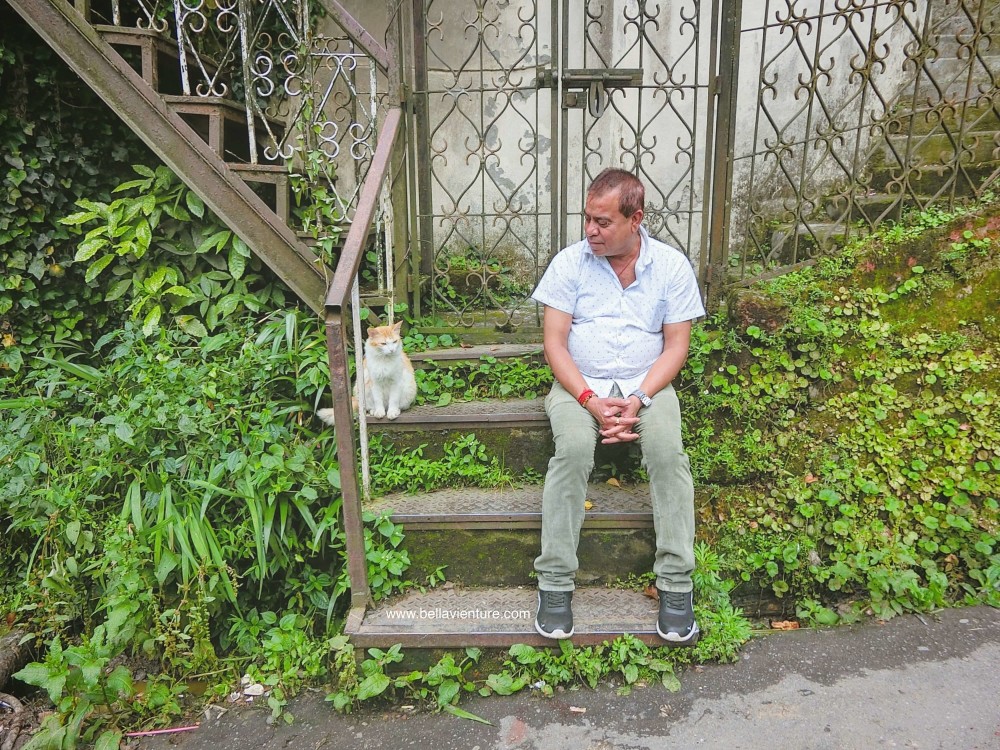 印度 大吉嶺 老人與貓