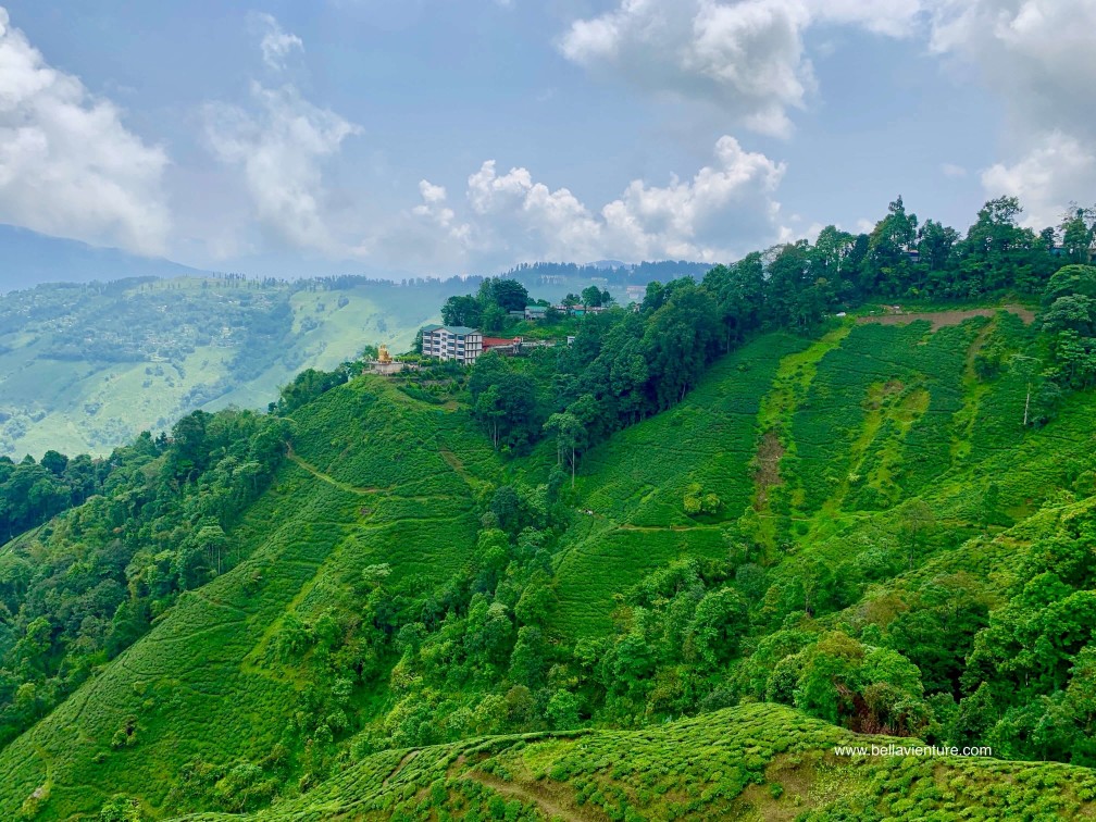 印度 大吉嶺 纜車 Darjeeling Rangeet Valley Passenger Ropeway